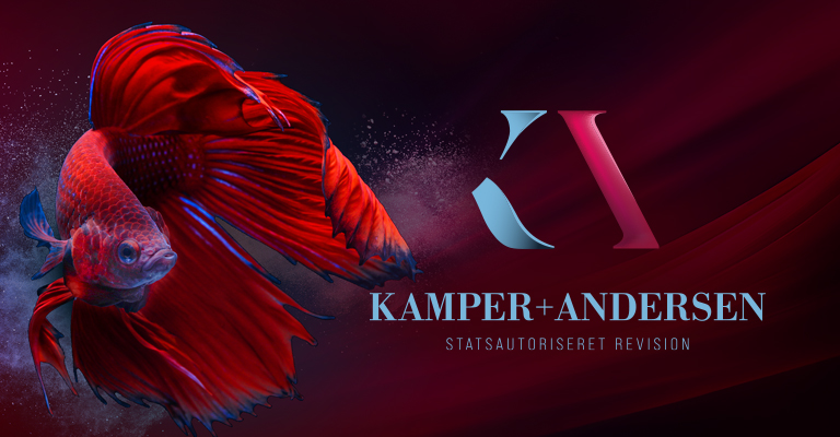 KAMPER+ANDERSEN